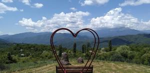 Gallery image of Seva Villa in Racha in Oni +30 photos