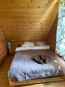 Fotografia z galérie ubytovania Marang Domki i Apartamenty v destinácii Szczyrk