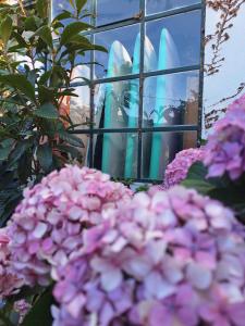 a group of surfboards in a window with purple flowers at Natural Mystic Hostel in Costa da Caparica