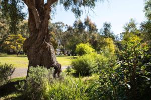 Giardino di Bodhi Daylesford