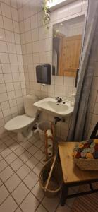 un bagno con lavandino, WC e specchio di Skotten Seter - Bed & Husky a Mork