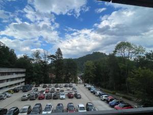 een parkeerplaats met veel auto's geparkeerd bij Fundis Apartment in Bad Harzburg