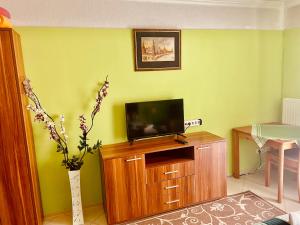 TV a/nebo společenská místnost v ubytování Villa Lux