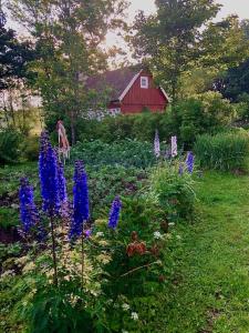 Φωτογραφία από το άλμπουμ του Ängaröds Gård σε Ljungbyhed
