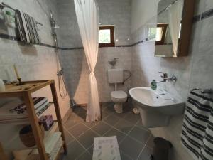 a bathroom with a toilet and a sink at Villa Beata Apartment 1 upper floor in Kulen Vakuf