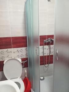 Fotografia z galérie ubytovania Apartman DEA v destinácii Soko Banja