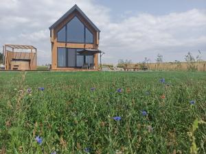 Um jardim no exterior de Zielone Wzgórze komfortowy klimatyzowany domek z balią z aeromasażem