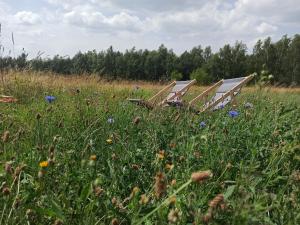 Um jardim no exterior de Zielone Wzgórze komfortowy klimatyzowany domek z balią z aeromasażem