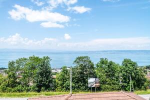 Fotografie z fotogalerie ubytování Agréable Chalet, vue panoramique sur la Lac Léman v destinaci Évian-les-Bains