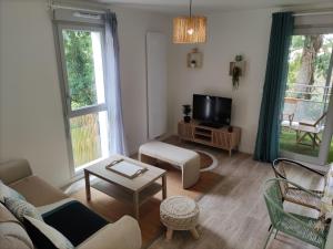 ein Wohnzimmer mit Sofa und Fernseher in der Unterkunft La Nouvelle Vague in Carcans