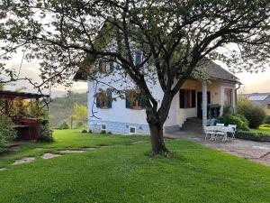 a white house with a tree in the yard at Ferienhaus Hefentrager in Stainz