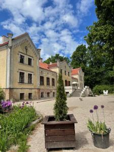 a house with a christmas tree in a courtyard at Ķimales muiža in Ķimale