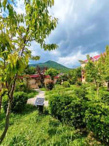 Příroda nedaleko vily