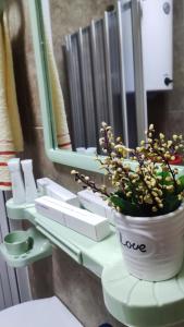 Una planta en maceta colocada en un inodoro frente a un espejo. en Milevski's Home, en Bitola