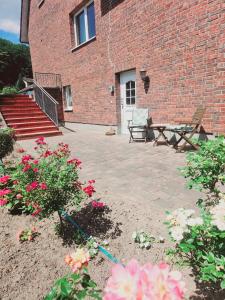 Zahrada ubytování Ferienwohnung - Hitzacker - Tießau