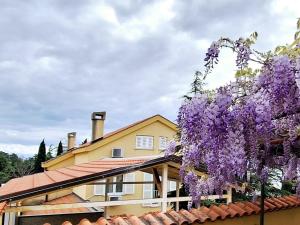 a house with purple wisteria hanging over the roof at Apartman Rosi in Dramalj