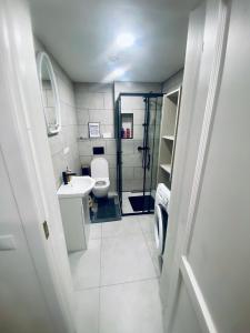 a bathroom with a toilet and a sink and a shower at Poilsis Nidoje -LA ISLA DE NIDA- Su terasa in Nida