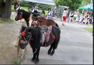 two brown and black horses standing on a street at Domek Pocieszna Podkowa in Rabka-Zdroj