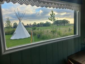 Příroda nedaleko luxury tent + 5 fotografií