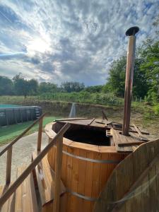 Valea IasuluiにあるPensiunea Valea Badiliiのギャラリーの写真