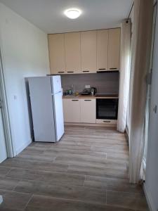 Kuchyň nebo kuchyňský kout v ubytování Apartman Djukic