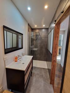 Koupelna v ubytování Chambre double avec salon chez l habitant-Maison Llapasset