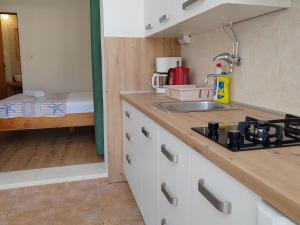 Kuchyň nebo kuchyňský kout v ubytování Apartments Lena