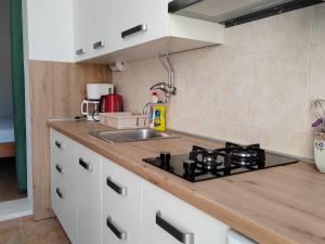 Kuchyň nebo kuchyňský kout v ubytování Apartments Lena