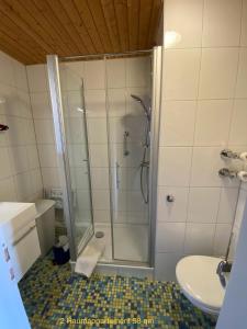 a bathroom with a shower and a toilet and a sink at 2-1 - Raum - Ferienappartements Dieter Hoffmann Freudenstadt-Kniebis beim Nationalpark in Freudenstadt +51 photos