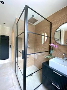 a bathroom with a shower and a sink at Magnifique 3 Pièces 60m2 central et proximité du lac in Bozel