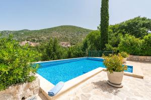 Πισίνα στο ή κοντά στο Villa Petmat - with private pool and 6 bedrooms