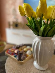 Fotografie z fotogalerie ubytování Apartman M&M v destinaci Brčko
