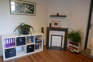 a living room with a fireplace and a white book shelf at Maison de ville avec jardin à 2 pas des Marais et quelques mns du centre-ville in Bourges