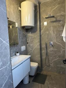 a bathroom with a sink and a toilet and a shower at ErLi Apartment in Shkodër +11 photos