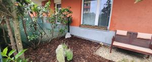 Taman di luar Bastien Studio near Airport