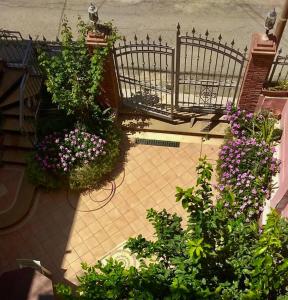 A garden outside Una Araucaria sul mare