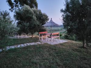 Zahrada ubytování Panorama Guesthouse