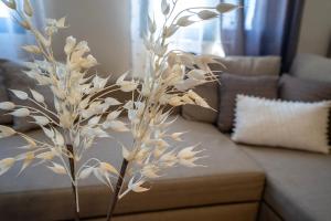 Gallery image of Belvedere Karystos in Karistos +139 photos