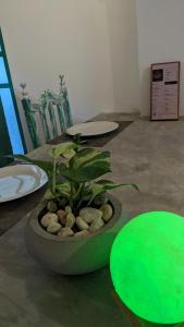Kuchyň nebo kuchyňský kout v ubytování Green villa & Soul Villa & Soul cabana