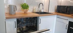 eine Küche mit Geschirrspüler mit Spüle und Mikrowelle in der Unterkunft Apartament Morelowa in Władysławowo + 2 Fotos