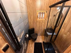 an overhead view of a bathroom with a toilet at Stary Las Siemczyno in Siemczyno +30 photos