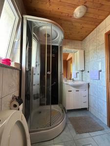 un bagno con doccia e lavandino di Apartman Majetić a Seliste Dreznicko Altre 52 foto