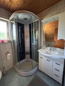 un bagno con doccia e lavandino di Apartman Majetić a Seliste Dreznicko