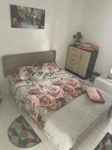 Gallery image of Quickest Wolf b&b Amore in Willemstad