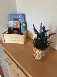 un cesto di libri e una pianta su un bancone di Apartman Majetić a Seliste Dreznicko