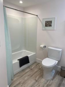 旧金山Charming 3BR 1BA Apt in Mission的带马桶和浴缸的浴室