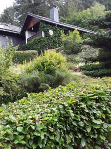 Zahrada ubytování Kleines Haus am Wald
