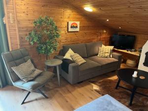 a living room with a couch and chairs and a tv at Alpendomizil Apfel in Mühlbach am Hochkönig