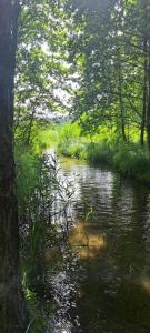 Gallery image of Domek nad jeziorem in Stare Czaple