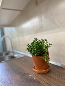 Foto dalla galleria di Flors Apartments a Durrës